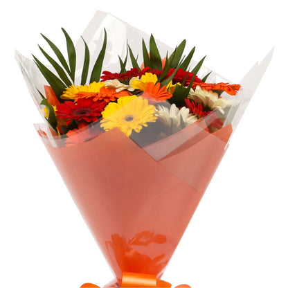 A Gerbera Special Daisy Bouquet