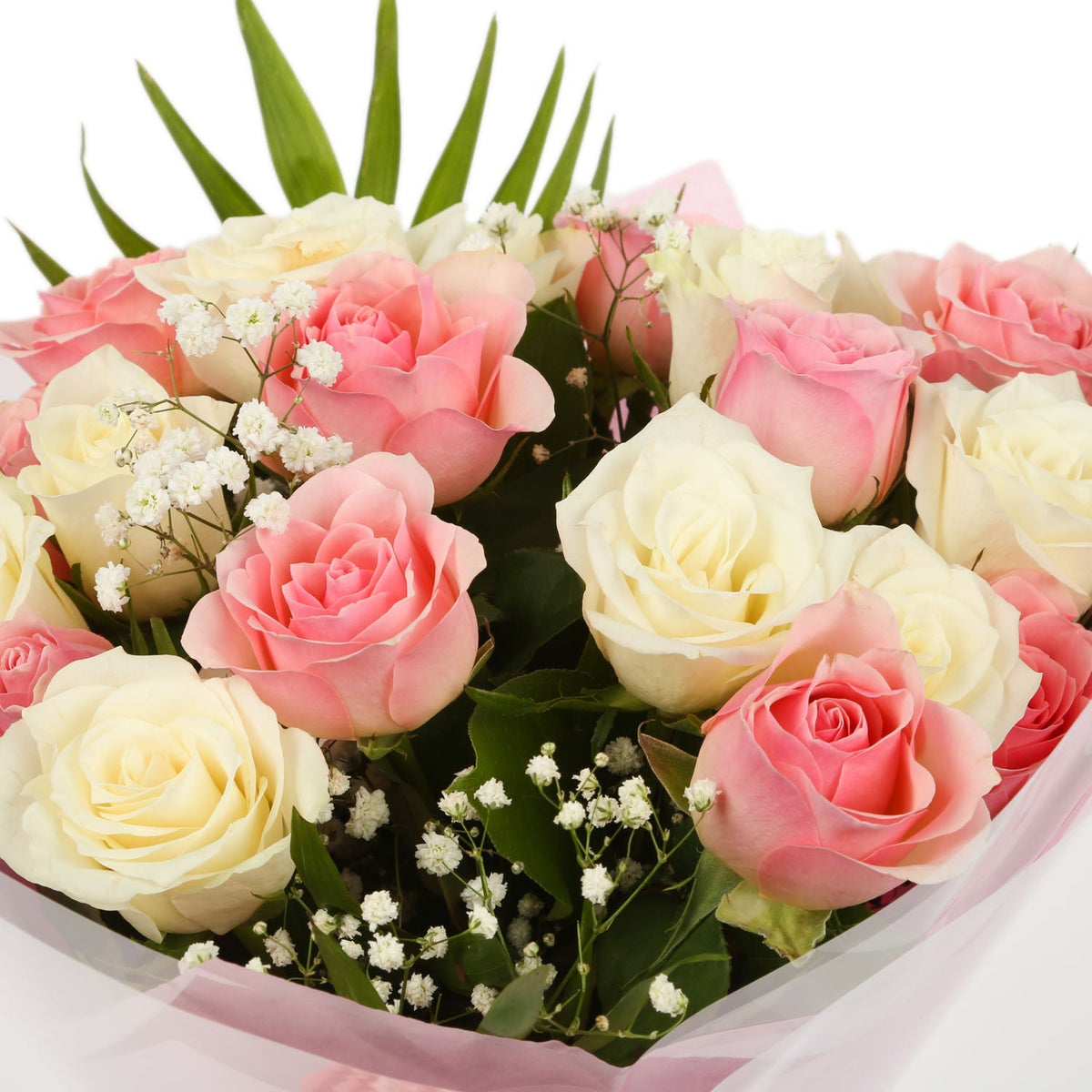 20 Sweet Pink & White Roses