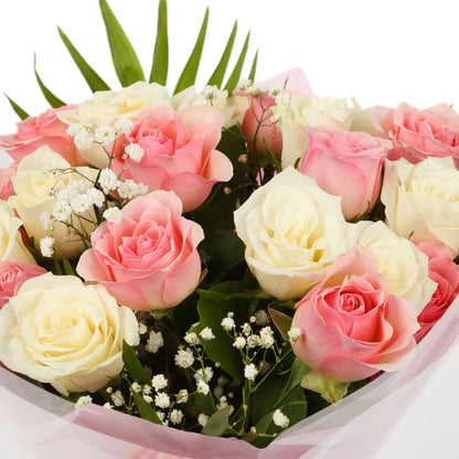 20 Sweet Pink & White Roses